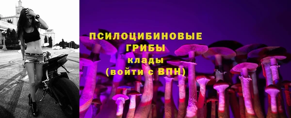каннабис Арсеньев