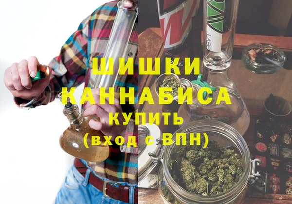 Альфа ПВП Аркадак