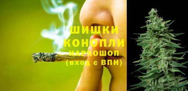 Альфа ПВП Аркадак
