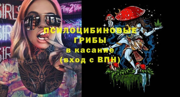 Альфа ПВП Аркадак
