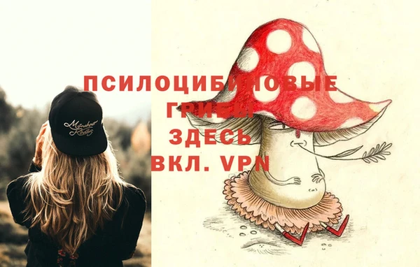 Альфа ПВП Аркадак