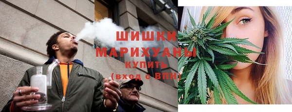 Альфа ПВП Аркадак